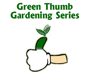 Green thumb 300