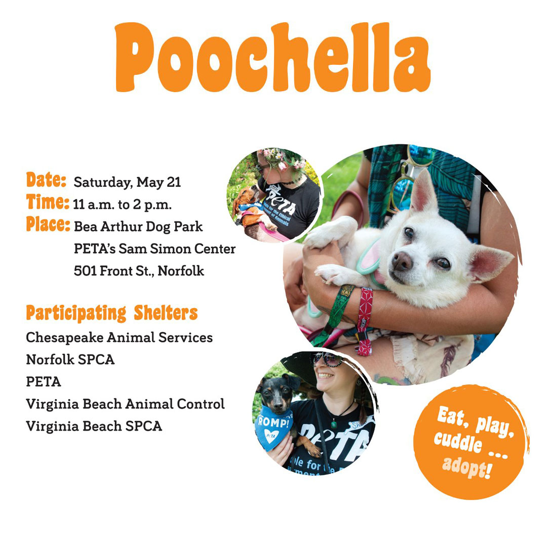 Poochella